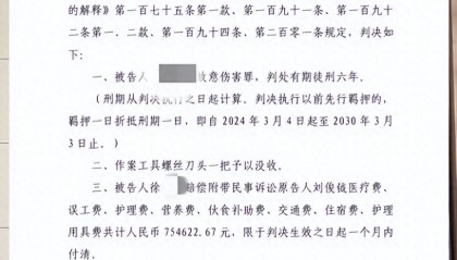 19岁网红“山东小钺钺”被邻居刺伤后脑，伤人者被判6年