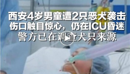 4岁男童遭恶犬袭击住进ICU，狗咬人为何就管不住？