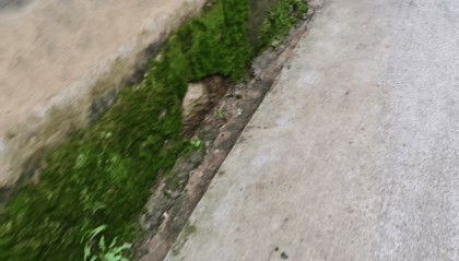 中学女生被同班男孩杀害,遇害地离家不足200米,云南当地警方称正在调查