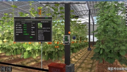 探寻长沙领先小程序开发公司：专业团队，创新技术，打造卓越微信生态应用