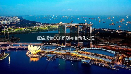 征信报告OCR识别与自动化处理