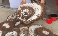 网红博主“瑶族建哥”被马蜂蜇伤身亡,最后一条视频中他深入山区搜寻马蜂窝