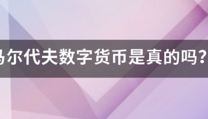 马尔代夫数字货币是真的吗？