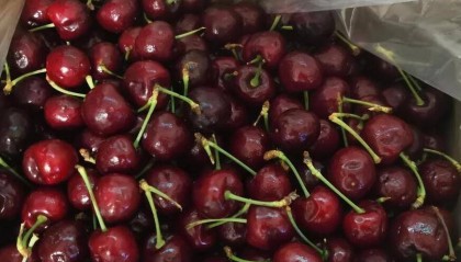 车厘子暴跌80%，为何还是没人买？这4个原因很现实，难以改变