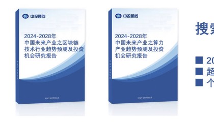 2024-2028年中国未来产业之区块链技术行业趋势预测及投资机会研究报告