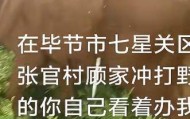 贵州毕节一黄牛被铁扦射穿身体，主人报警：怀疑有人用无人机狩猎