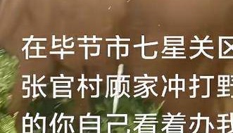 贵州毕节一黄牛被铁扦射穿身体,主人报警:怀疑有人用无人机狩猎