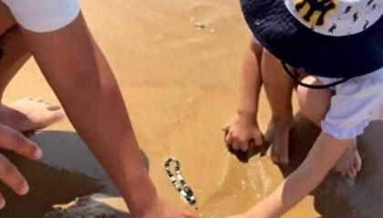 青岛赶海沙滩中挖出手机,潍坊热心游客物归原主