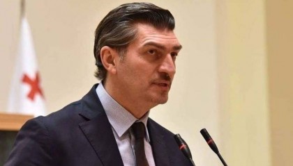 格鲁吉亚新总统首次公开演讲：将继续致力于加入欧盟