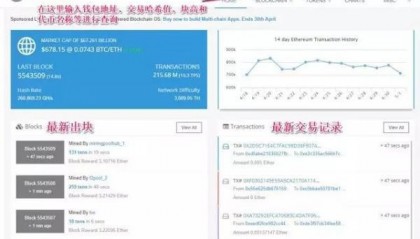 如何通过区块链资产地址（数字钱包地址）查看该地址的区块链资产（数字货币）？