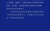 湖南警方通报男子拖拽女童进小巷：刘某某因涉嫌寻衅滋事被拘留并将追究其刑责