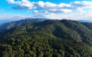 云南哀牢山新规出台：禁止任何单位和个人擅入哀牢山自然保护区，从事科研活动须报批