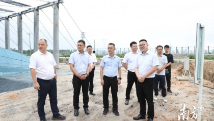 胡志方到大沟镇督导海洋渔业跨县集群项目推进工作