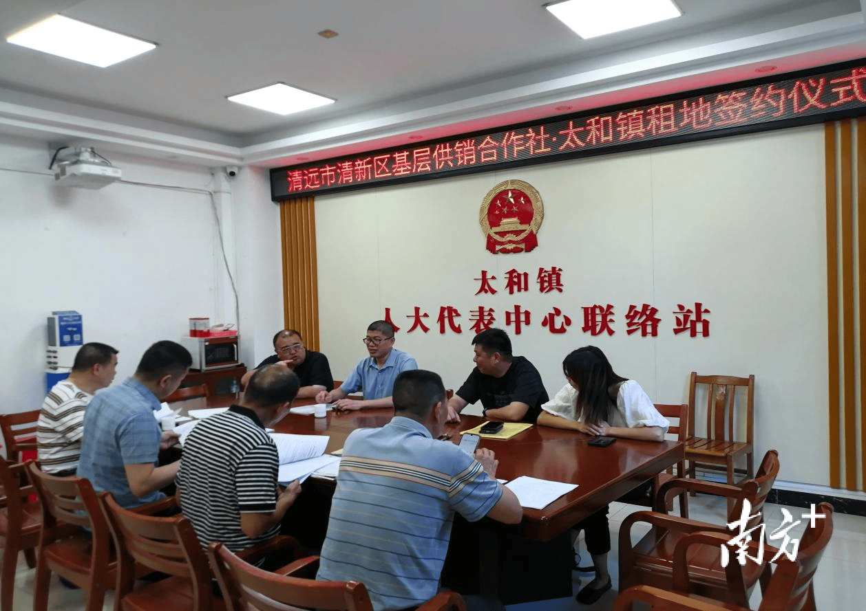 清新太和：又一项目签约，打造“千亩方”优质丝苗米产业基地
