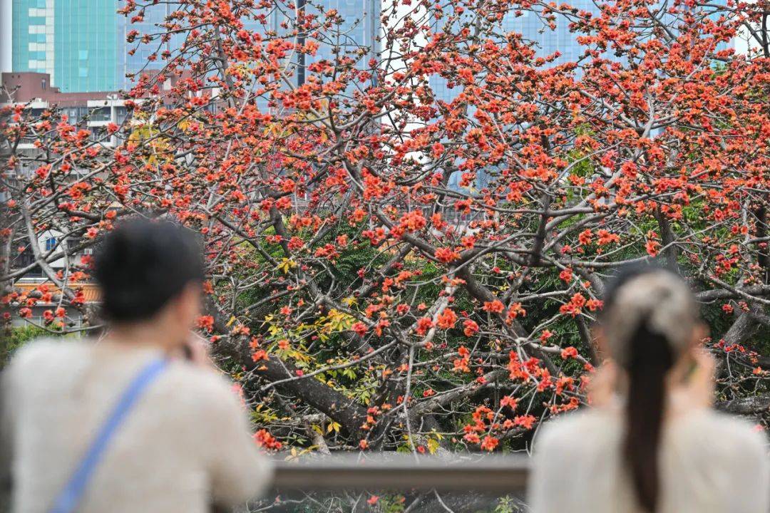冷空气+暴雨来袭！广州低至11℃，就在本周……