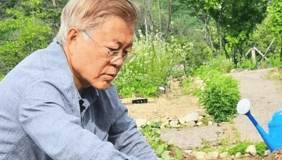 民调差25%！尹锡悦必须下台？文在寅遭殃，李在明慌了