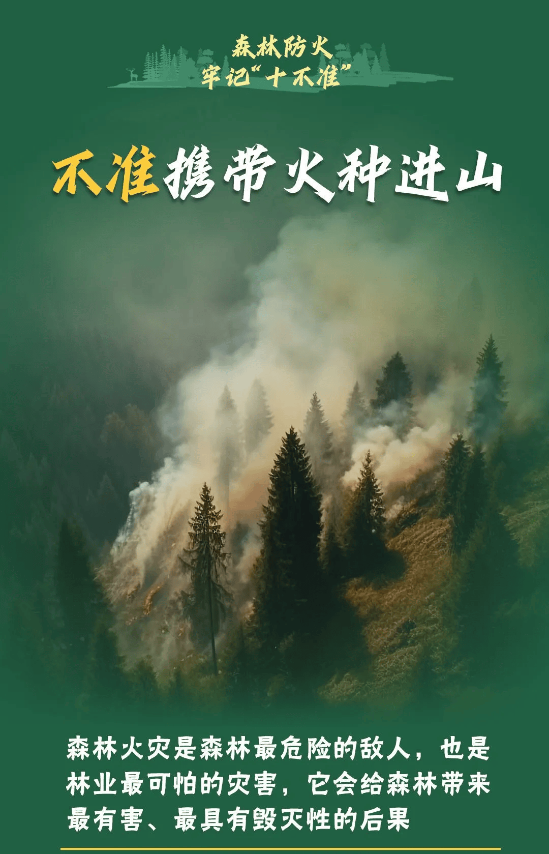 山火连发，原因公布！多地拉响红色预警→