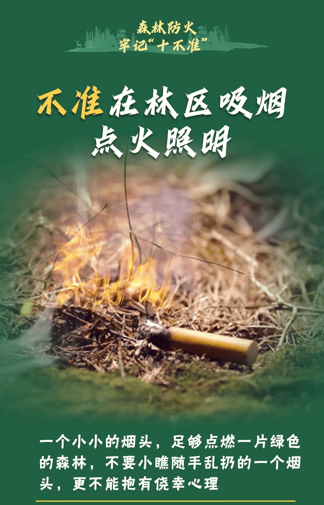 山火连发，原因公布！多地拉响红色预警→