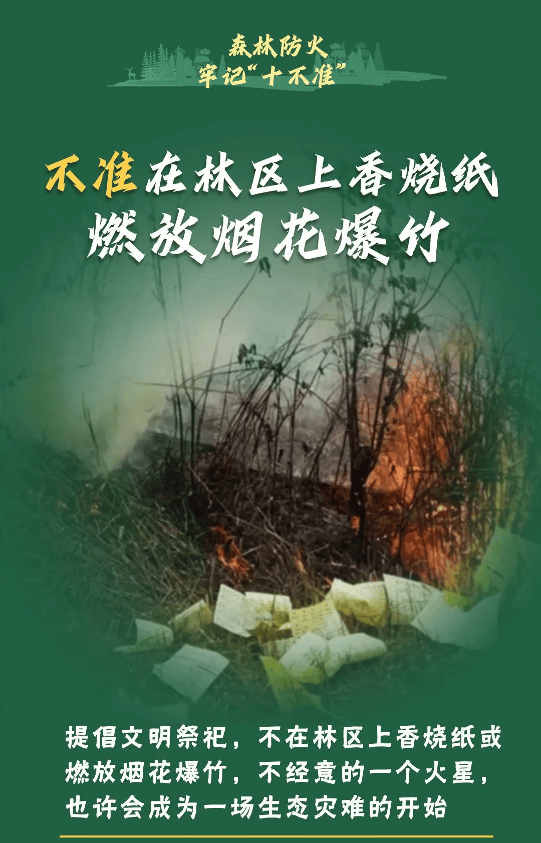 山火连发，原因公布！多地拉响红色预警→