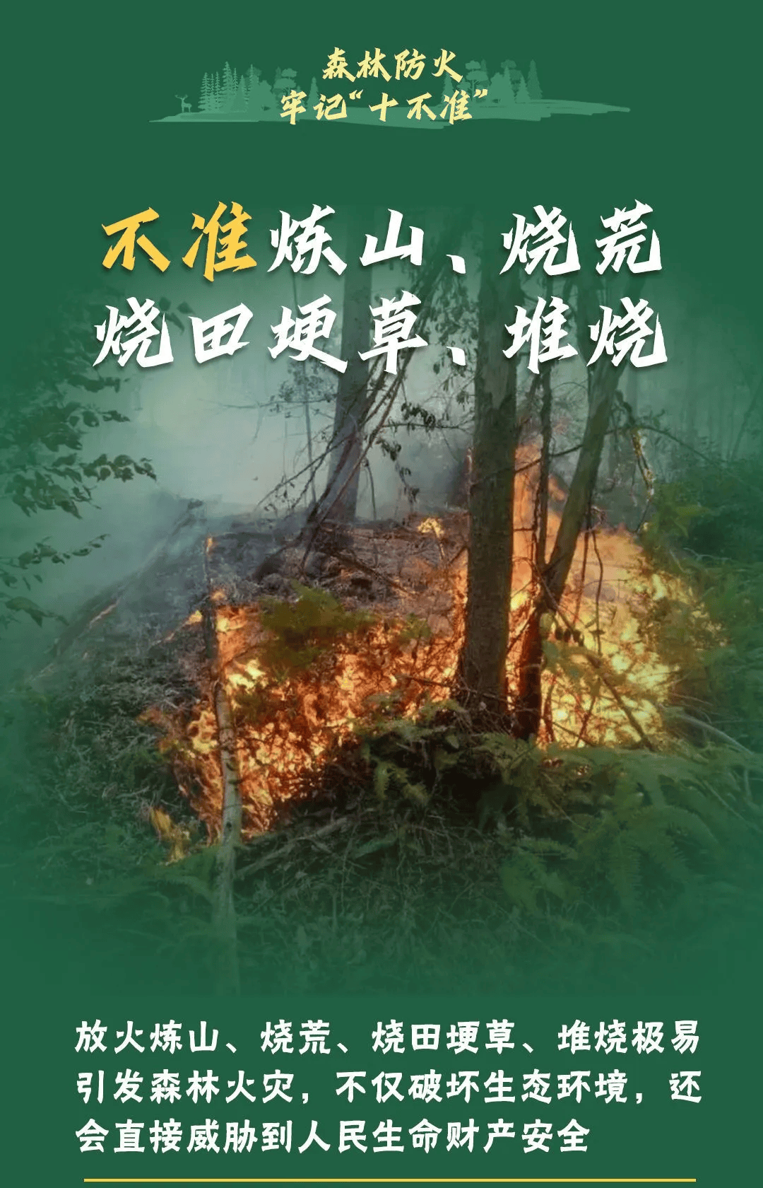 山火连发，原因公布！多地拉响红色预警→