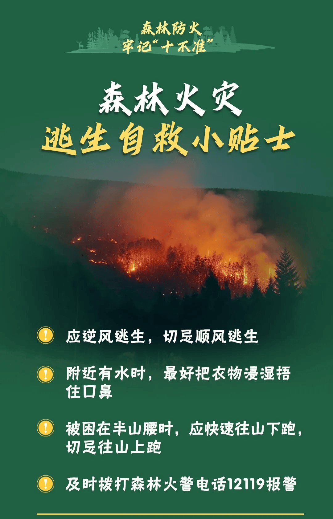 山火连发，原因公布！多地拉响红色预警→