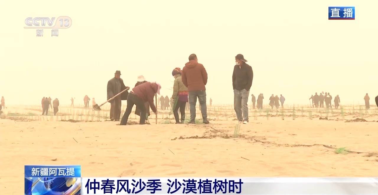 “锁边”→“扩边” 塔克拉玛干沙漠植树造绿迎来新进展