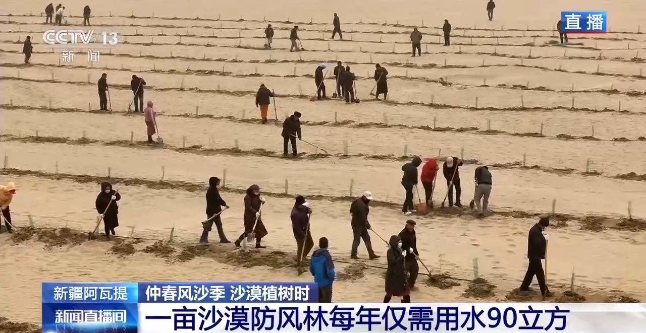 “锁边”→“扩边” 塔克拉玛干沙漠植树造绿迎来新进展