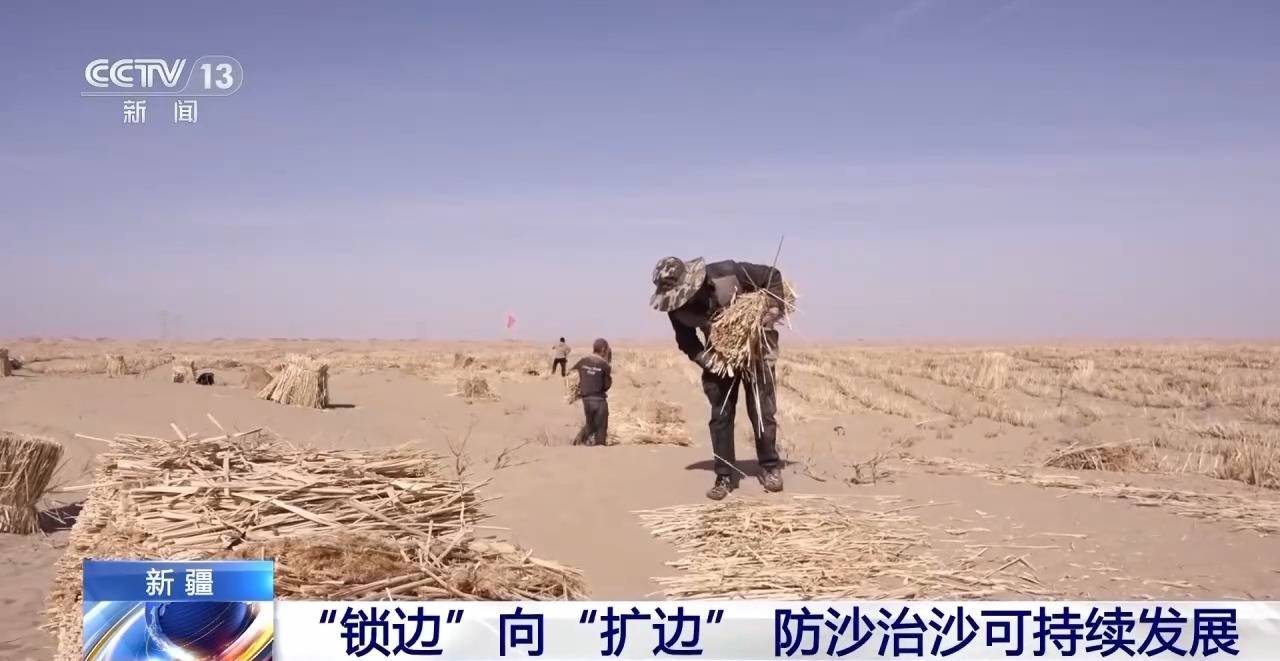 “锁边”→“扩边” 塔克拉玛干沙漠植树造绿迎来新进展
