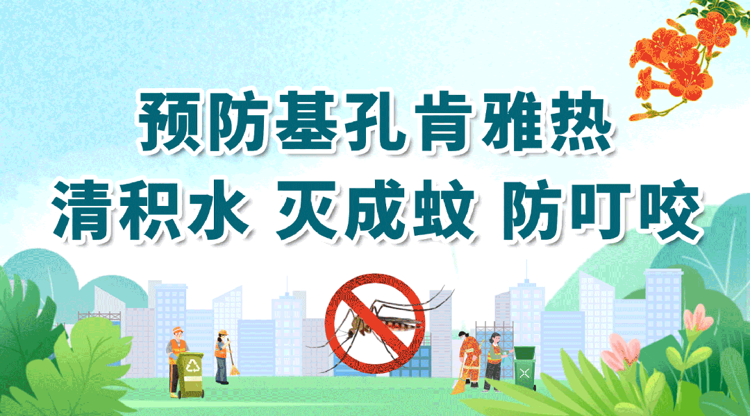 收好这份指引！十大场所灭蚊防基孔肯雅热有方法