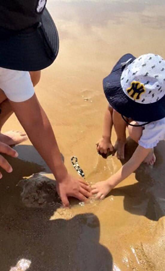 青岛赶海沙滩中挖出手机，潍坊热心游客物归原主