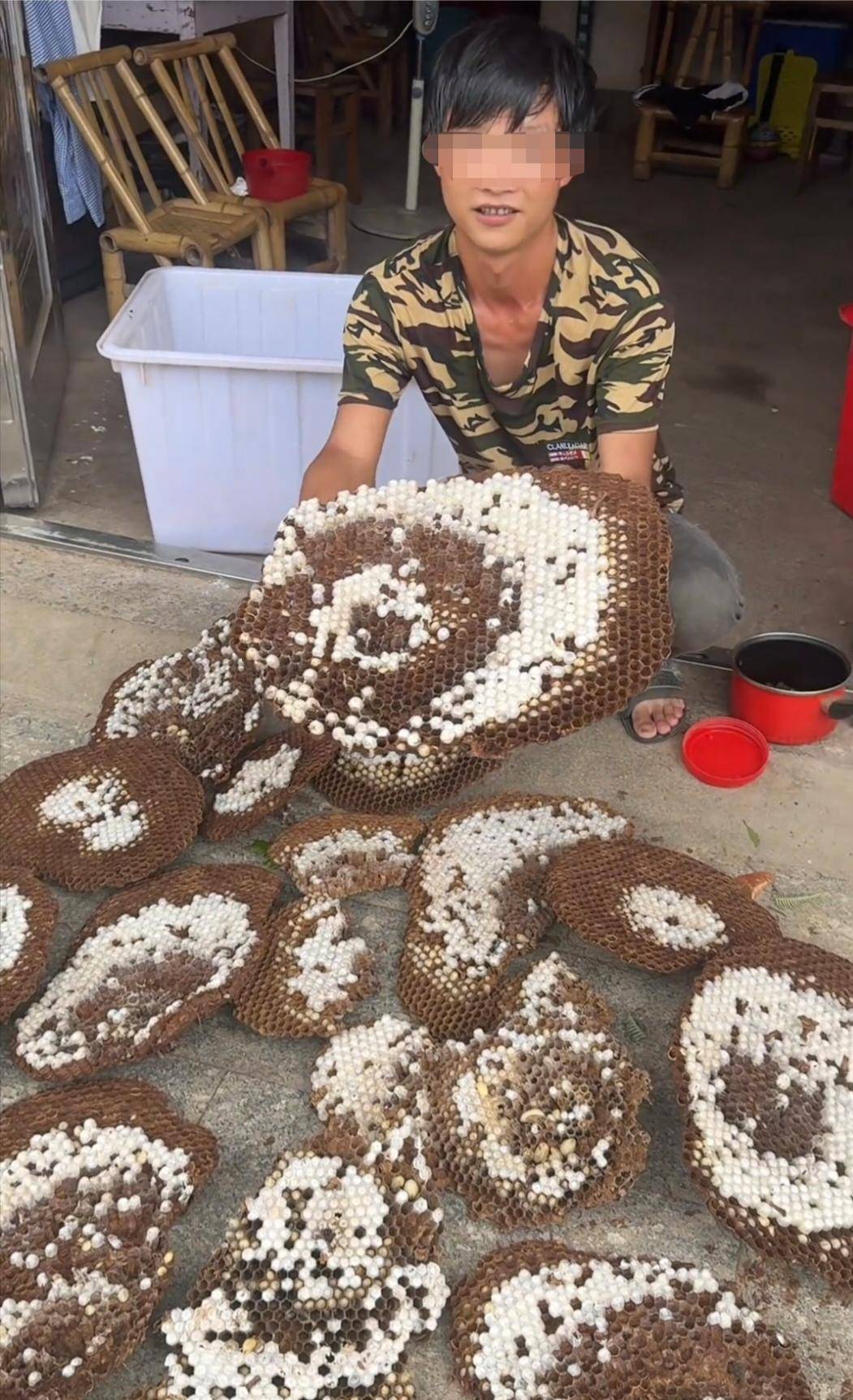 网红博主“瑶族建哥”被马蜂蜇伤身亡，最后一条视频中他深入山区搜寻马蜂窝